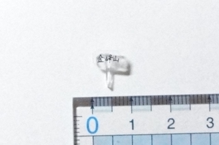 DSC07690.jpg